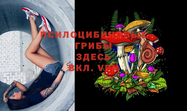 прущая мука Гусь-Хрустальный