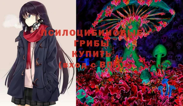 прущая мука Гусь-Хрустальный