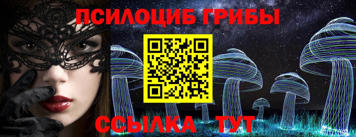 Псилоцибиновые грибы мицелий Дубна
